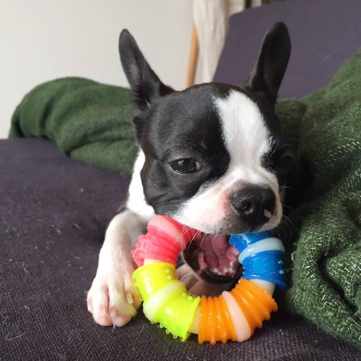 4b994d13 0b54 4bb5 8ca2 236e754b3f3b