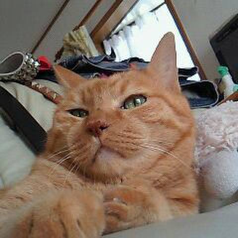 4b995adc 094c 49d0 b2a4 0ac9657b6ceb