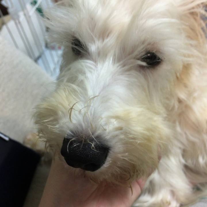 4b99cf7b b26c 4943 89b2 bf26924edb04