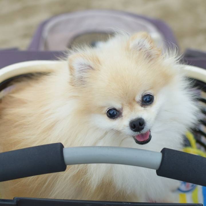 4b9a47d4 2e12 4b70 90fc 894927feb160