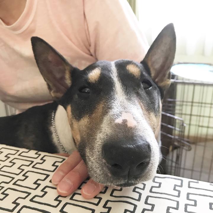 4b9a52a5 3d00 4fd4 945f 3385d96ffbdc