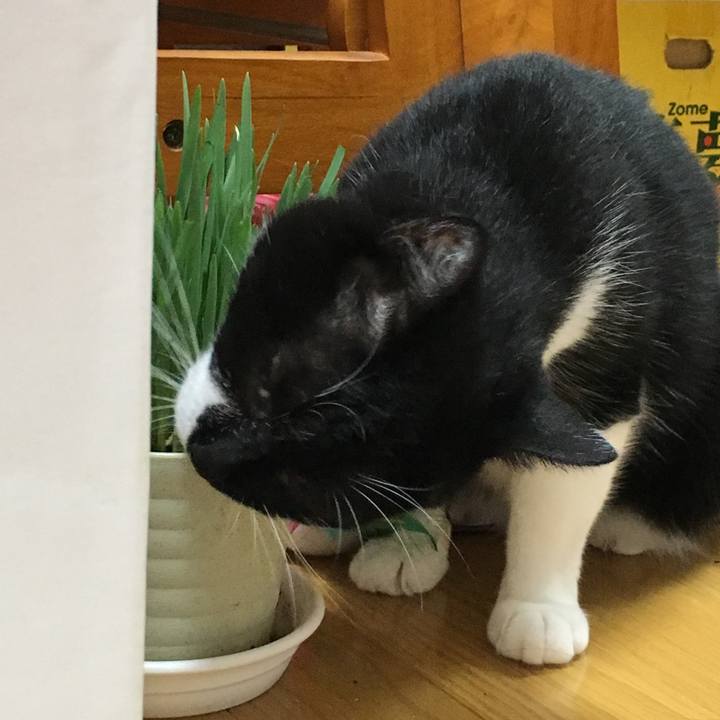 4b9ab006 e425 44a2 9997 7802ea560433