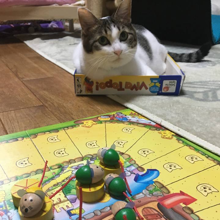 4b9b0faa 619d 45b6 970c f7f9de3c19a6