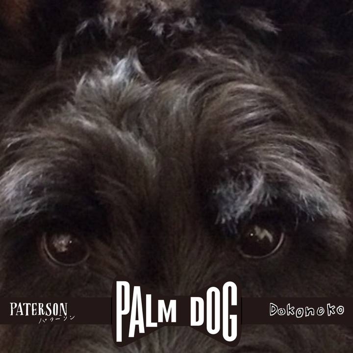 4b9b23ae 15c6 41f7 a72f abb2f3964a4f