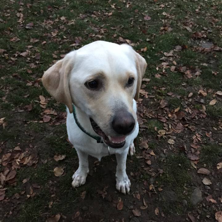 4b9bbb2b a8db 45ef 9e24 79ae4dc3eba6