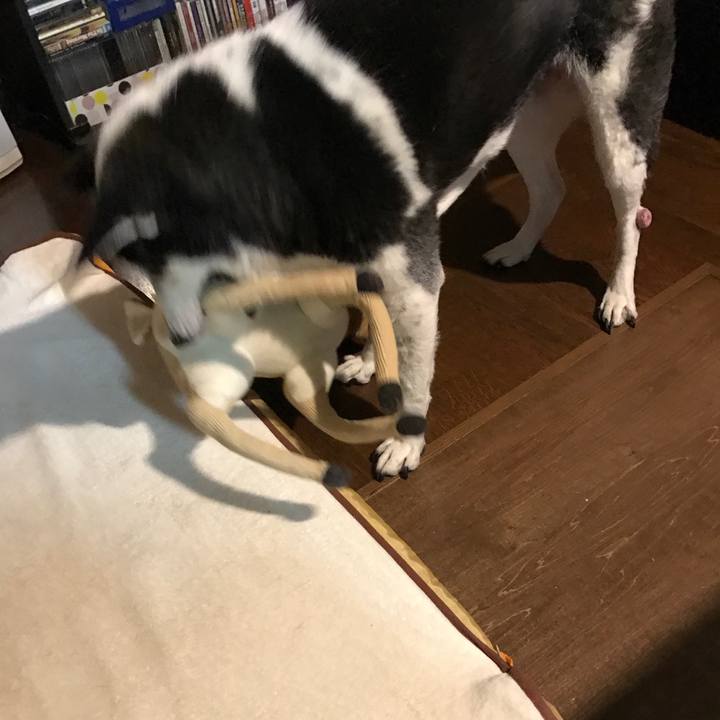 4b9c1d5b 458d 4d6f a7da 304605b2ccab