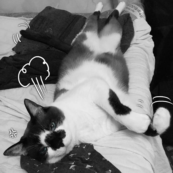 4b9ca117 5a7f 46f0 a4db 9a5614bd1032