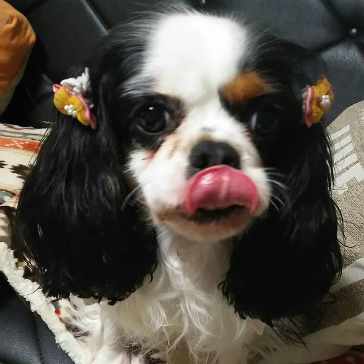 4b9e43df 474b 4d11 8b47 dc9a92d7e1bb