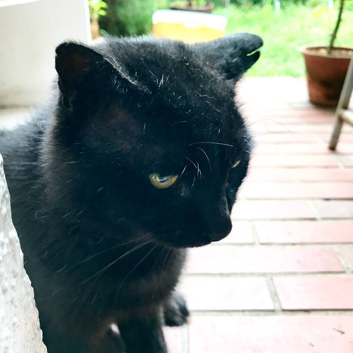 4b9e831b a4cd 4489 a2f6 0a922a282e19