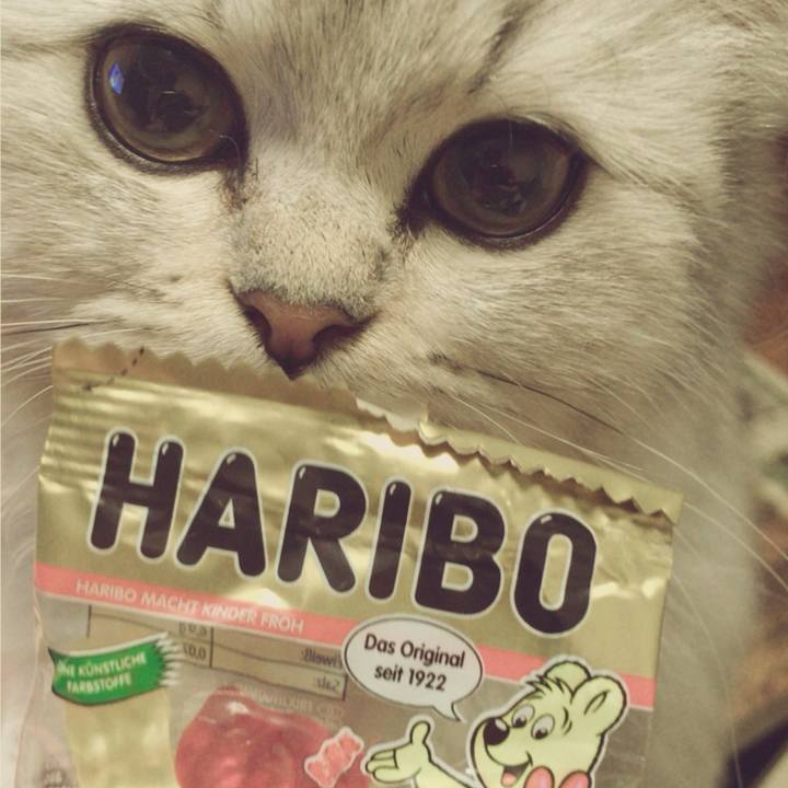 4b9ead1e 73d1 4bb7 bed5 3e2372cb3a6e