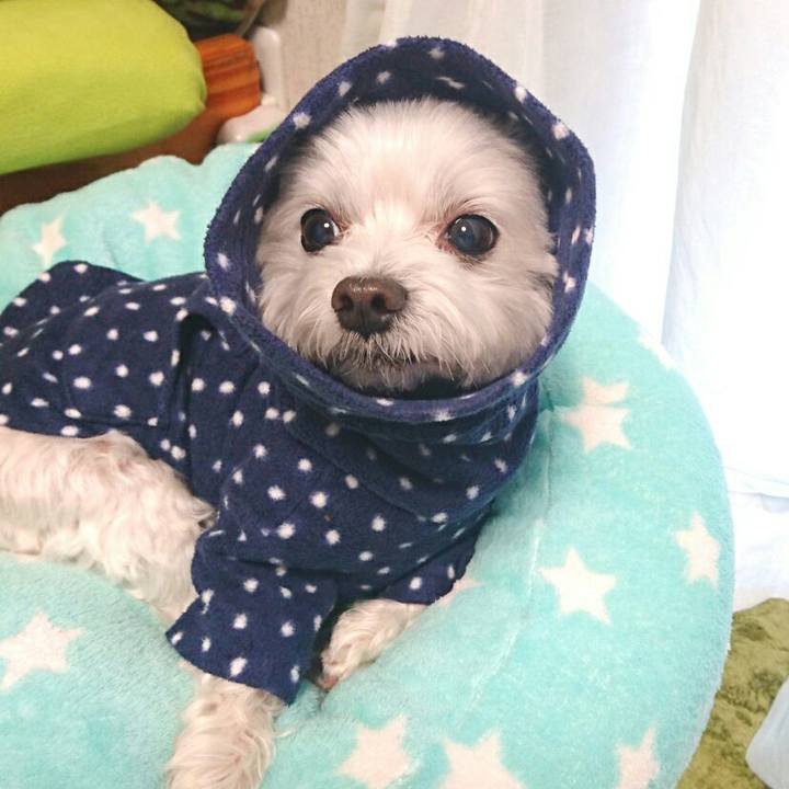 4b9ec2aa b051 44fb b521 7a1c81097a0a