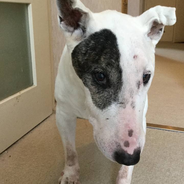 4b9f10da 324a 443b 8ffc cceb3cc7f59e