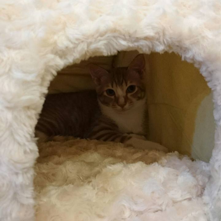 4b9f5ea1 7b21 4b70 be9f 0cc35f9a5c0f