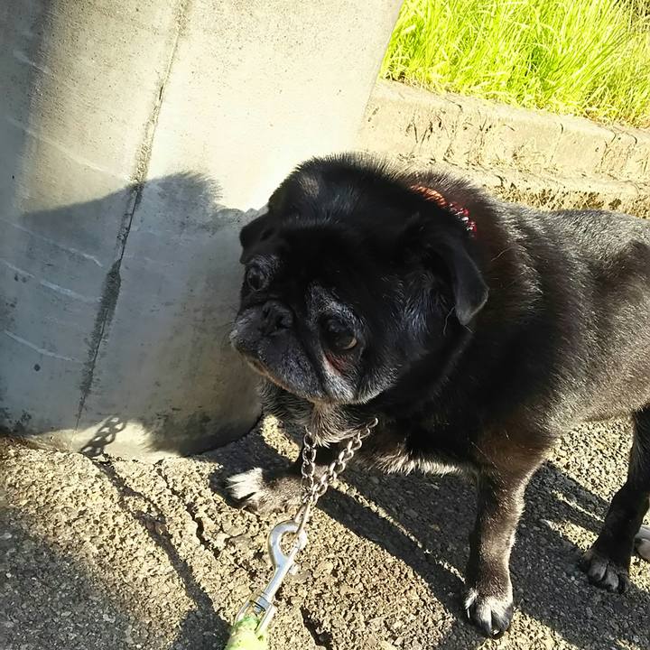 4b9faa60 dd93 4a33 b553 7ec6a23ef701