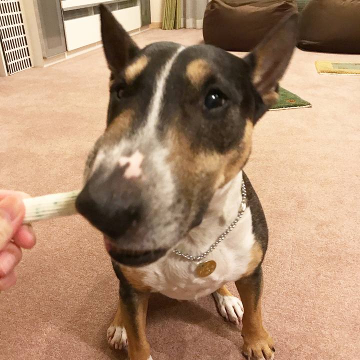 4b9fd2e1 0120 4ef0 9cdb bfe904ee1f41