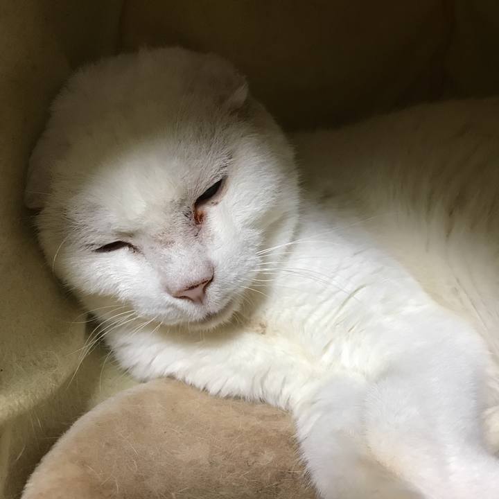 4b9ff80e f48f 416d 871c 4a33536e8b25