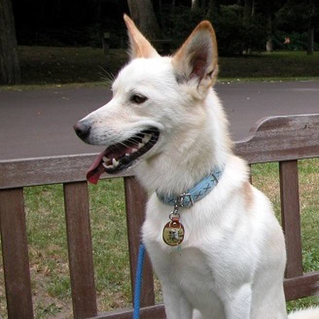 4ba0c7d6 477e 429a bbd4 1df20bc3a744