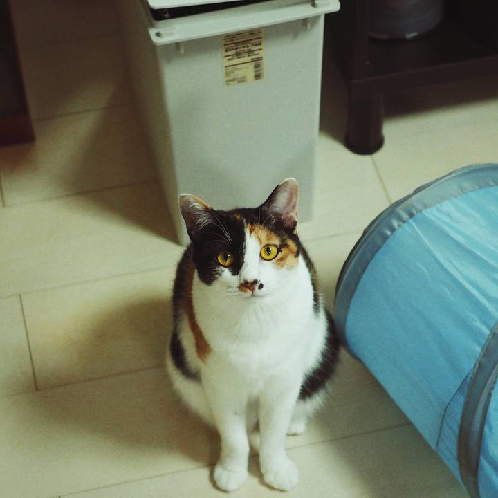 4ba27495 02b0 4a60 b995 0fd9e7cd1cc4