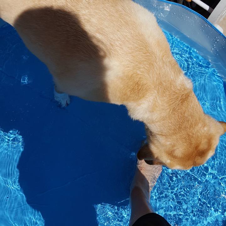 4ba378a2 a493 42da 8390 19bf61bc12c6