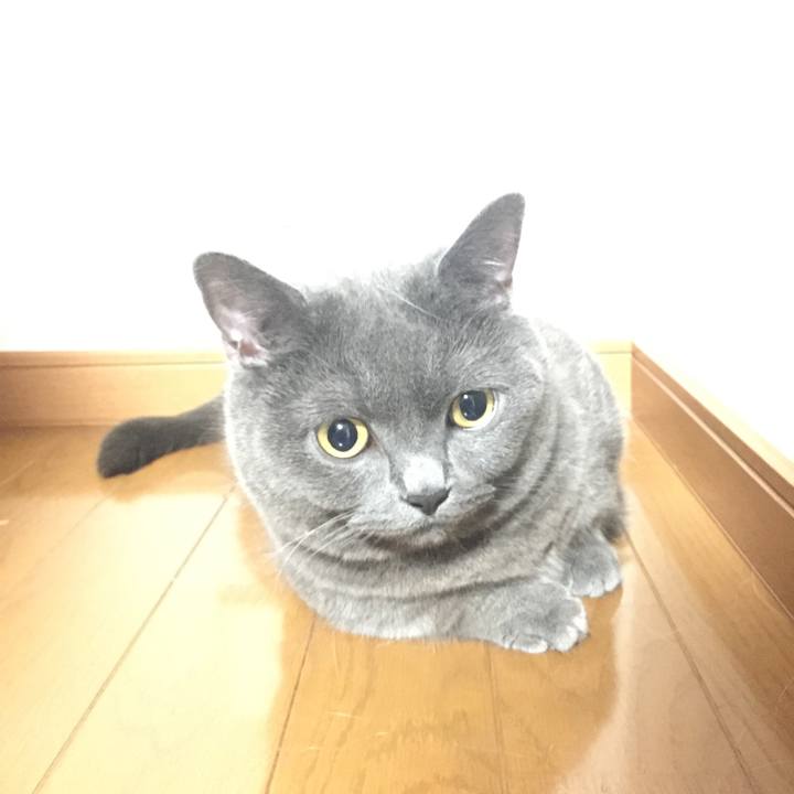 4ba45ba7 d63b 4307 8583 1f890e22391e