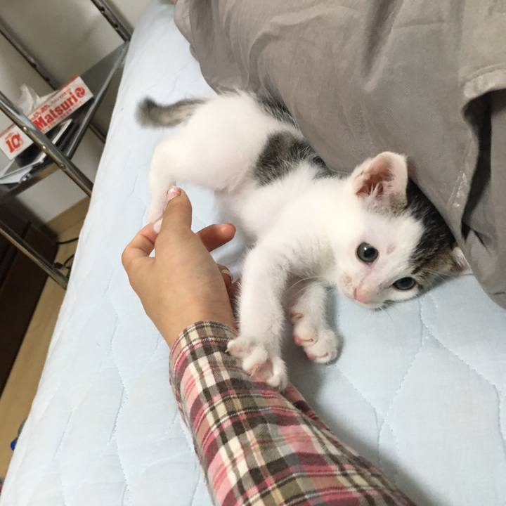 4ba49ff6 89ee 4ef4 b9e9 a923604139e7