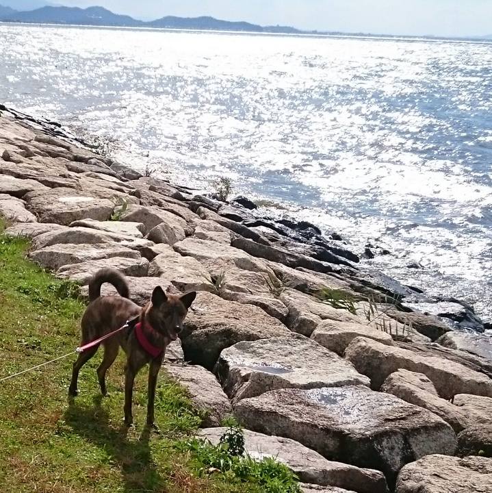 4ba4f26b 8d0e 469e 9800 7ee021a1abc5