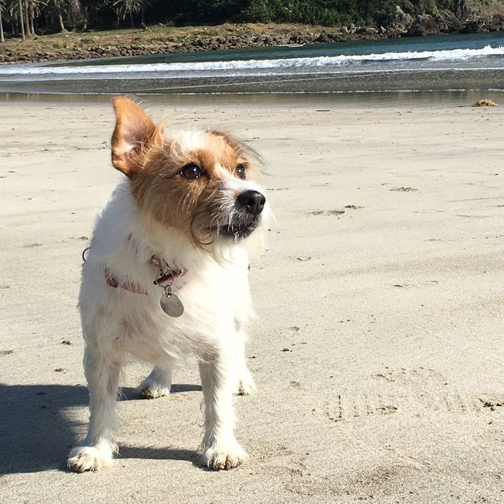 4ba57068 6e3e 4e38 bb08 b5e4648eaf29