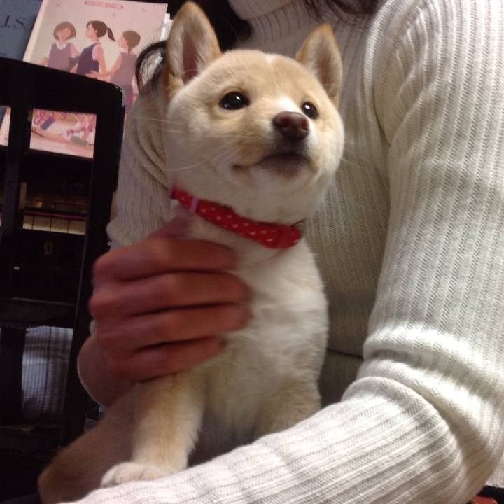 4ba5740c 7909 462f 8d86 563befc4f909