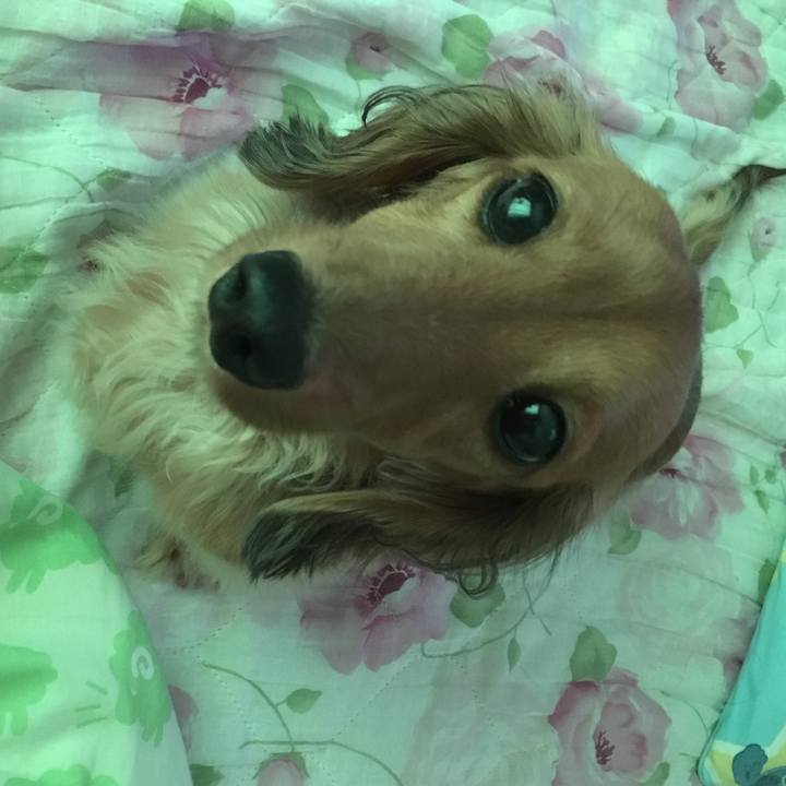 4ba5c5ed 3c24 423a 8eee 4518e783a9e1