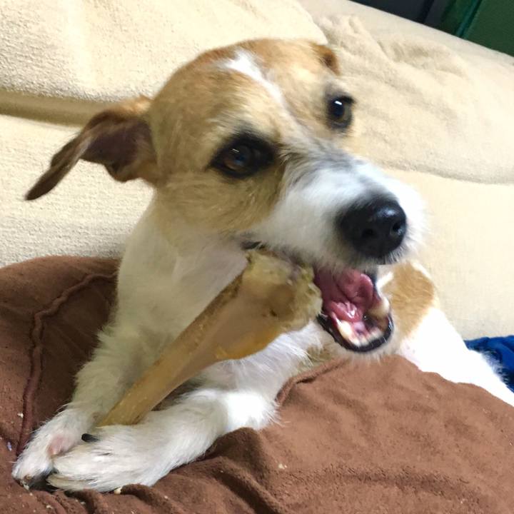 4ba5dfac 403f 4bc9 9754 8fd7dbcd8058