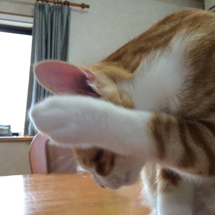 4ba5f5fd 522b 4f7d 85cc 441d1151f5e3