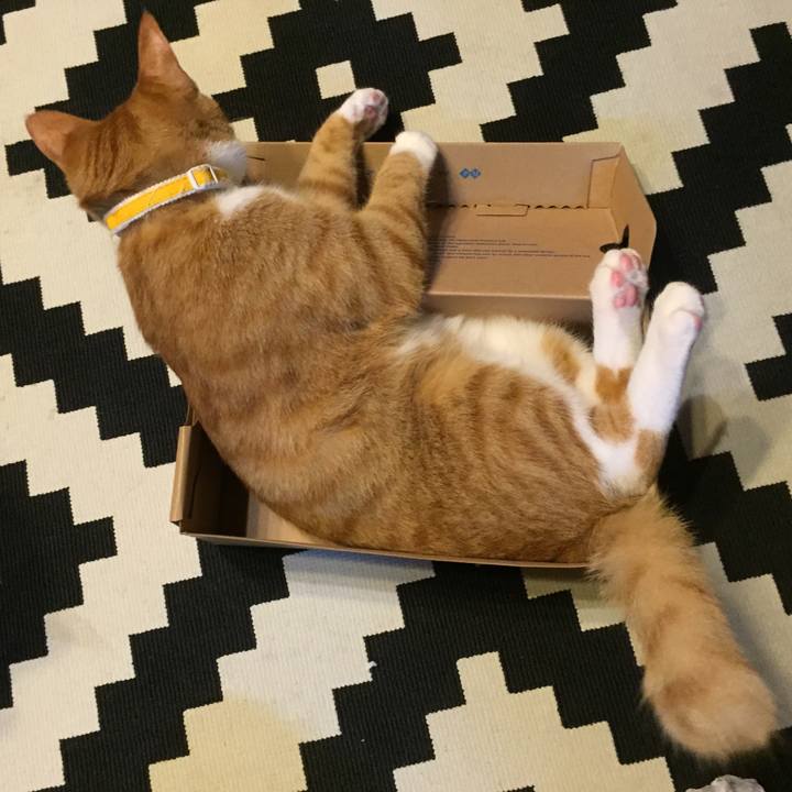 4ba6246b 5047 421f 8bc7 dd478683969a