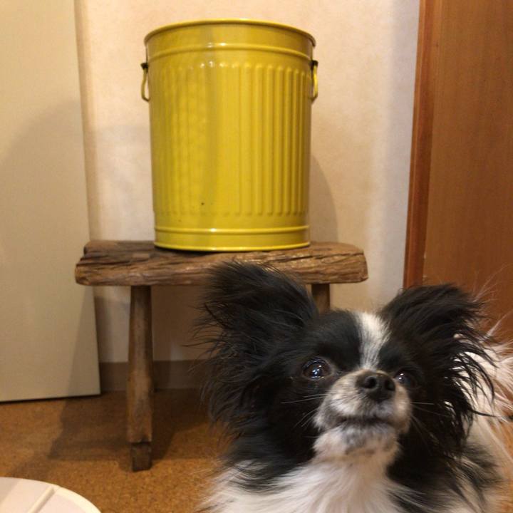 4ba67ade 9e6a 4e69 a4d0 ff5dbc6f94e7