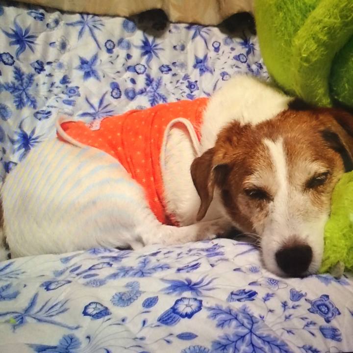 4ba6ae8f e223 4a4e ad25 cbe507656872