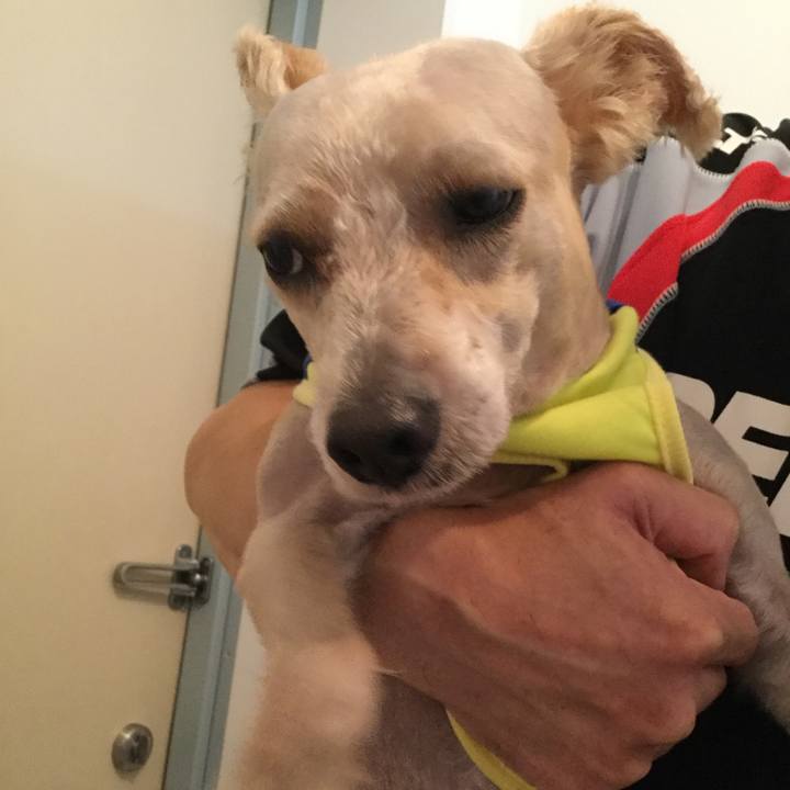 4ba6c441 5373 4332 8492 629ee91ac2f9