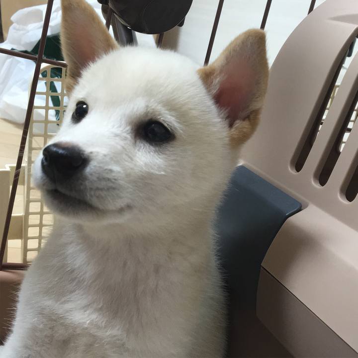 4ba6e5d6 4ef0 49da 91bb b7b3e8199444