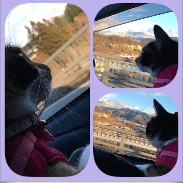 4ba6ed97 7031 4758 b35a 96f9104b2556