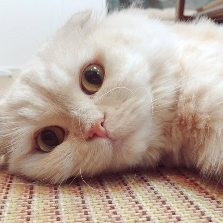 4ba782ff 35e8 4c24 8a95 338a51e87903