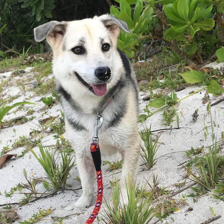 4ba7dc43 11fa 47c1 85d7 41916179bf15