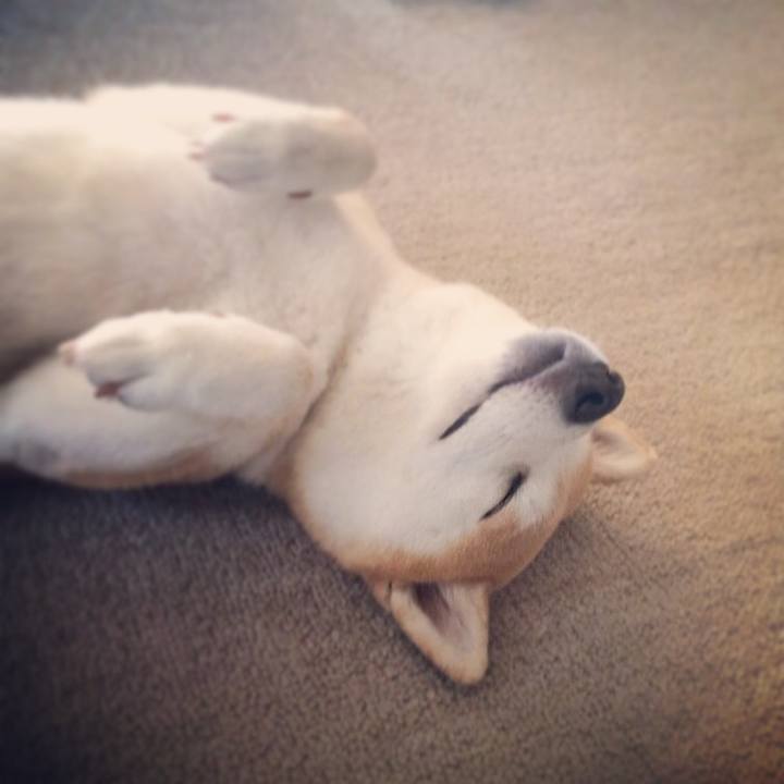 4ba84d9f 2940 4f3a 817e 1d8049b28056