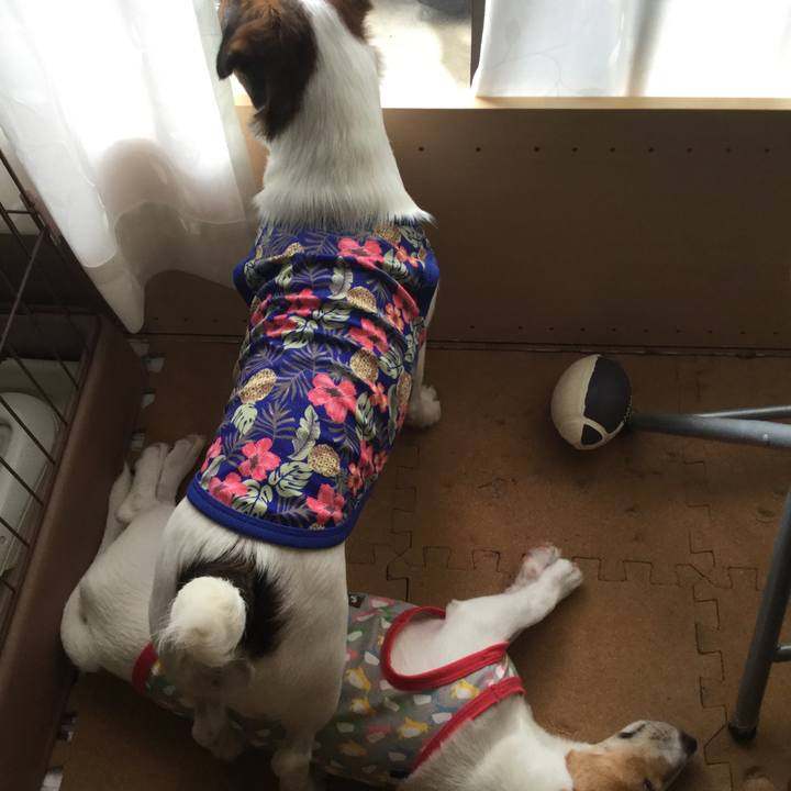 4bac237d 254e 4f5b ba47 87b6a030d54f