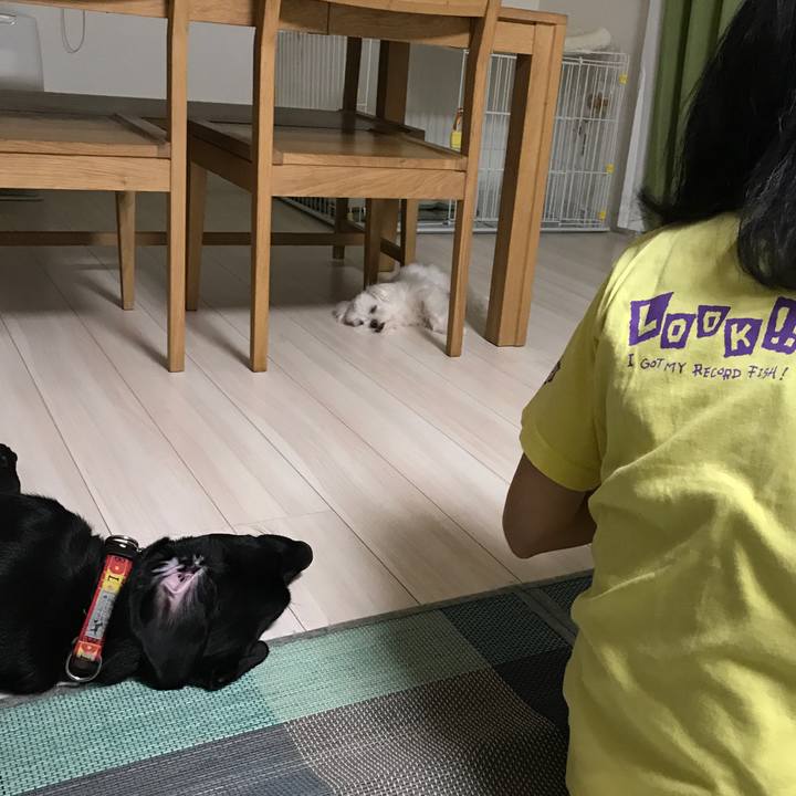 4bac6246 bfcf 488a 9112 d8681f1f12c0