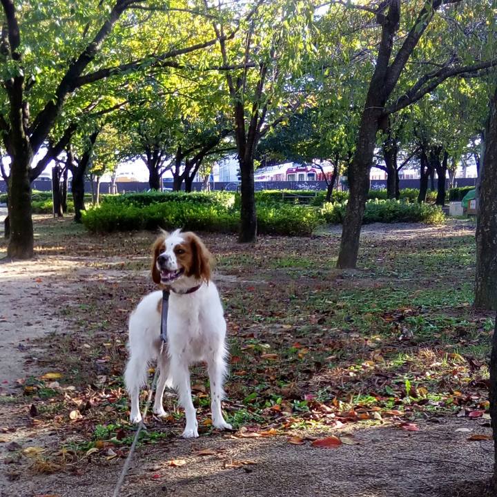 4bac8fcc d68e 4c46 a5e2 0faafc07ee6d