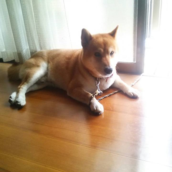 4bad26ac f357 41da 8cbd 82ca6c20da1a