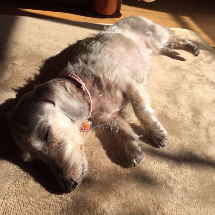 4bad9b56 7b93 4f7d 9380 b20c3f5cabf7