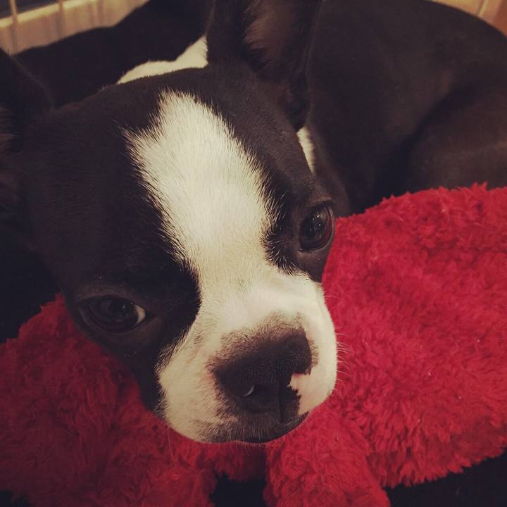 4badcee2 b5bc 42a6 91b0 5416527f8cda