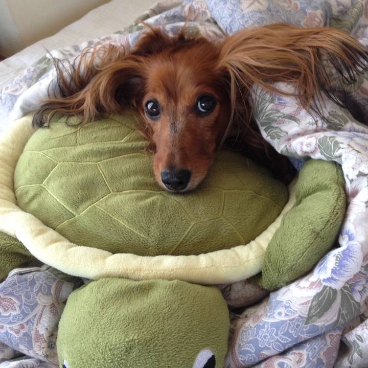 4baf887e eb8a 4988 9fa9 f5fde3a7831d