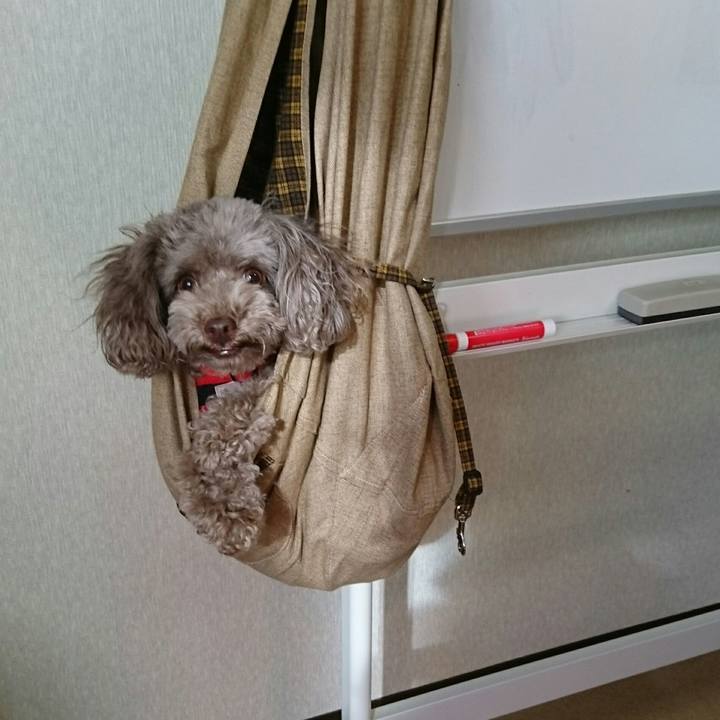 4baf91e6 ad36 45c7 b54c 29ecbf14cd45