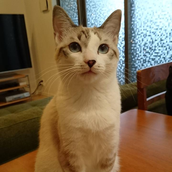 4bafd0f9 c744 4468 a3ce 8f8006ce19e4