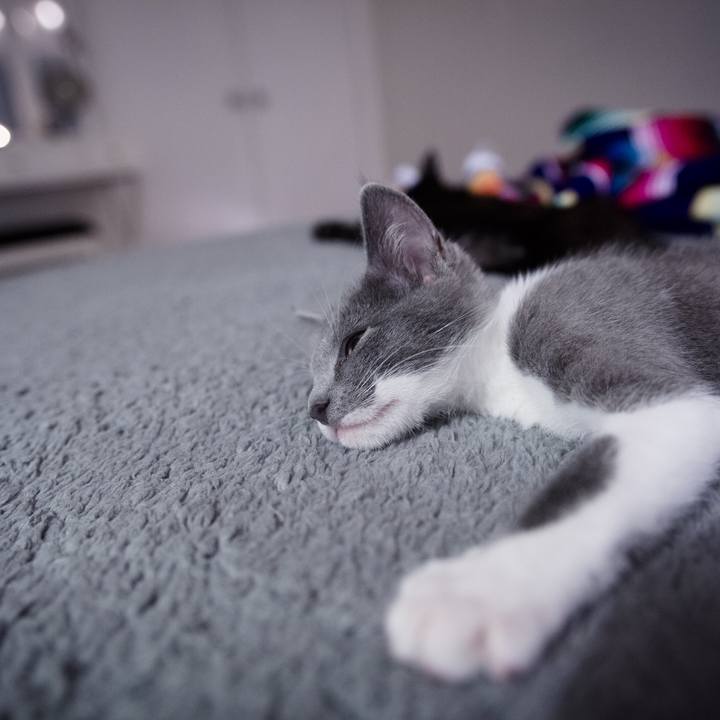 4bb071fa 4f92 4992 8644 a048ea1e9384